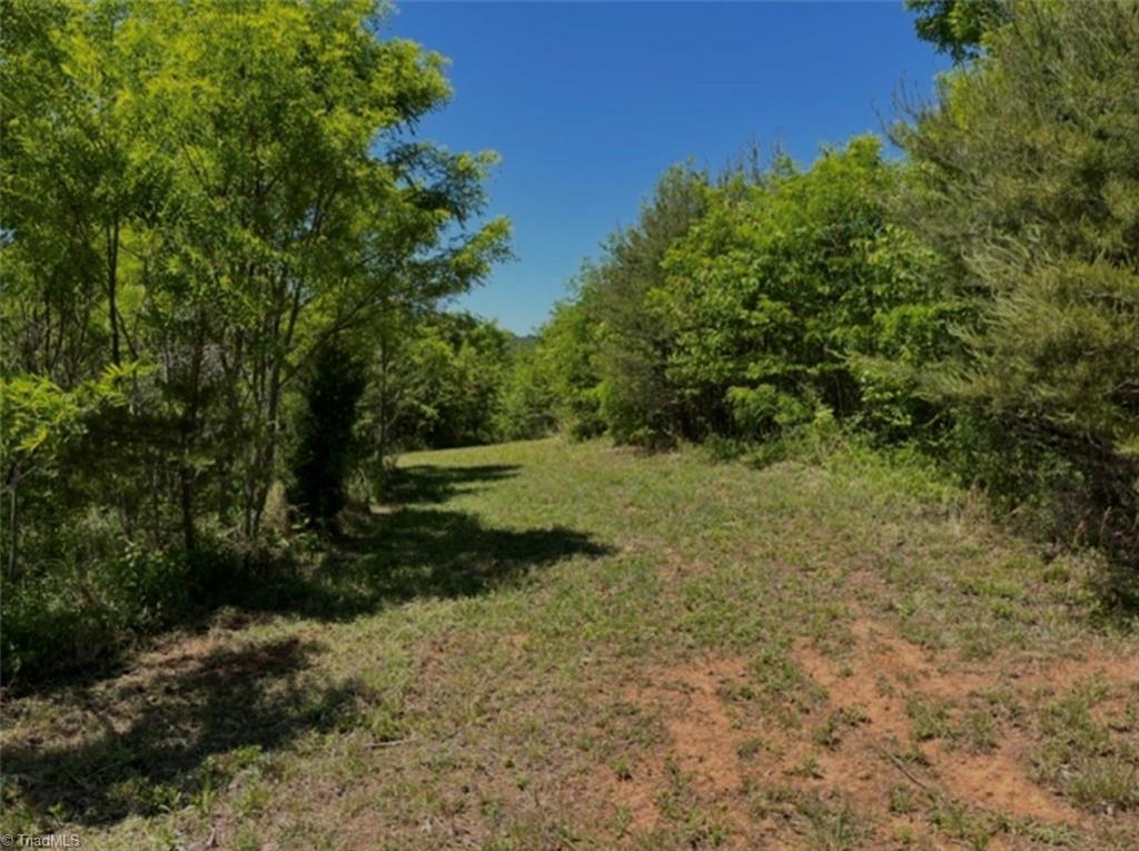 0 Moir Farm Road Lawsonville, NC 27022 - Photo 4 of 15