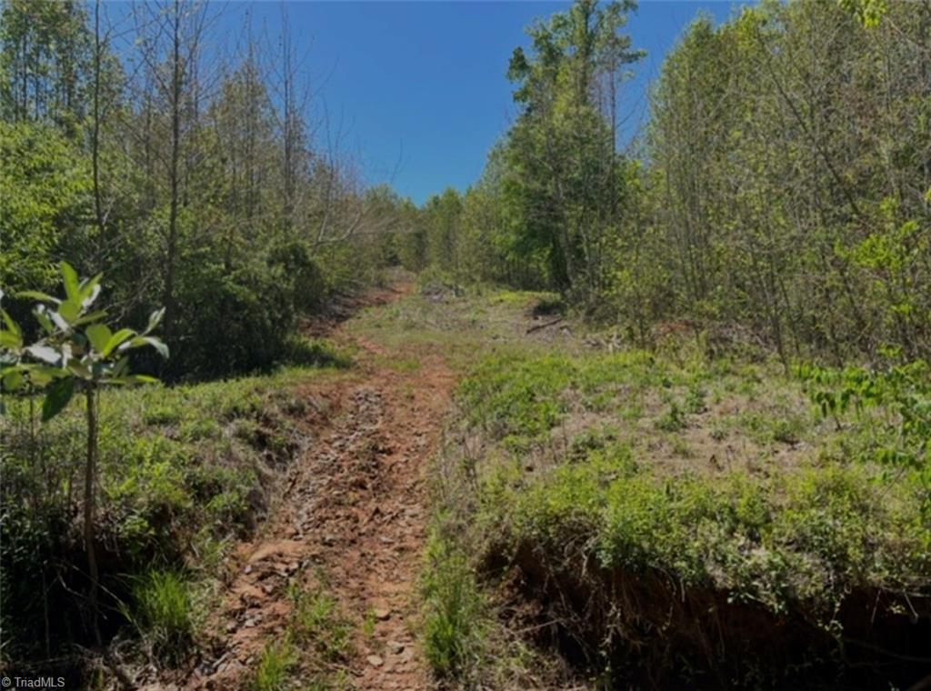0 Moir Farm Road Lawsonville, NC 27022 - Photo 6 of 15 One of the many cut trails!