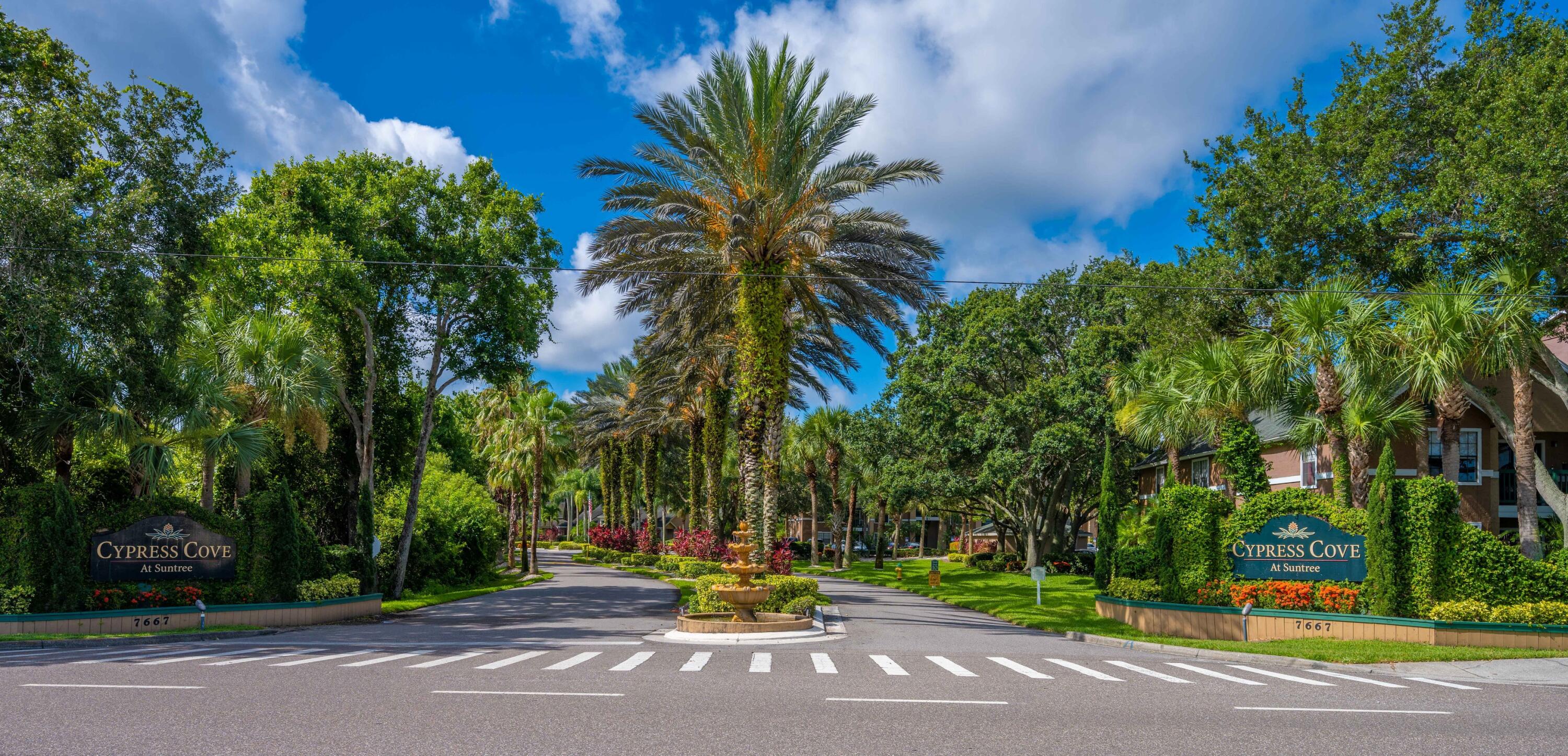 7667 North Wickham Road, Unit 1518 Melbourne, FL 32940 - Photo 31 of 32 a view of a yard with palm trees