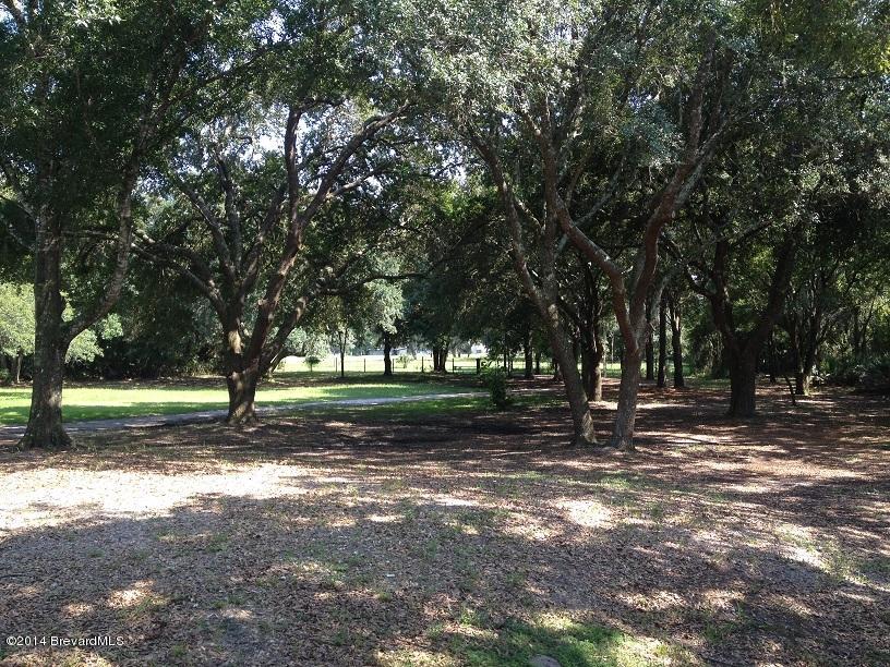 4150 Richy Road Mims, FL 32754 - Photo 9 of 15 2014-08-23 15