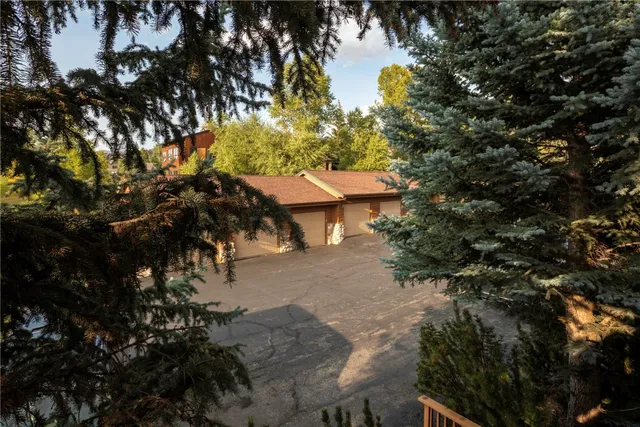 a view of a backyard