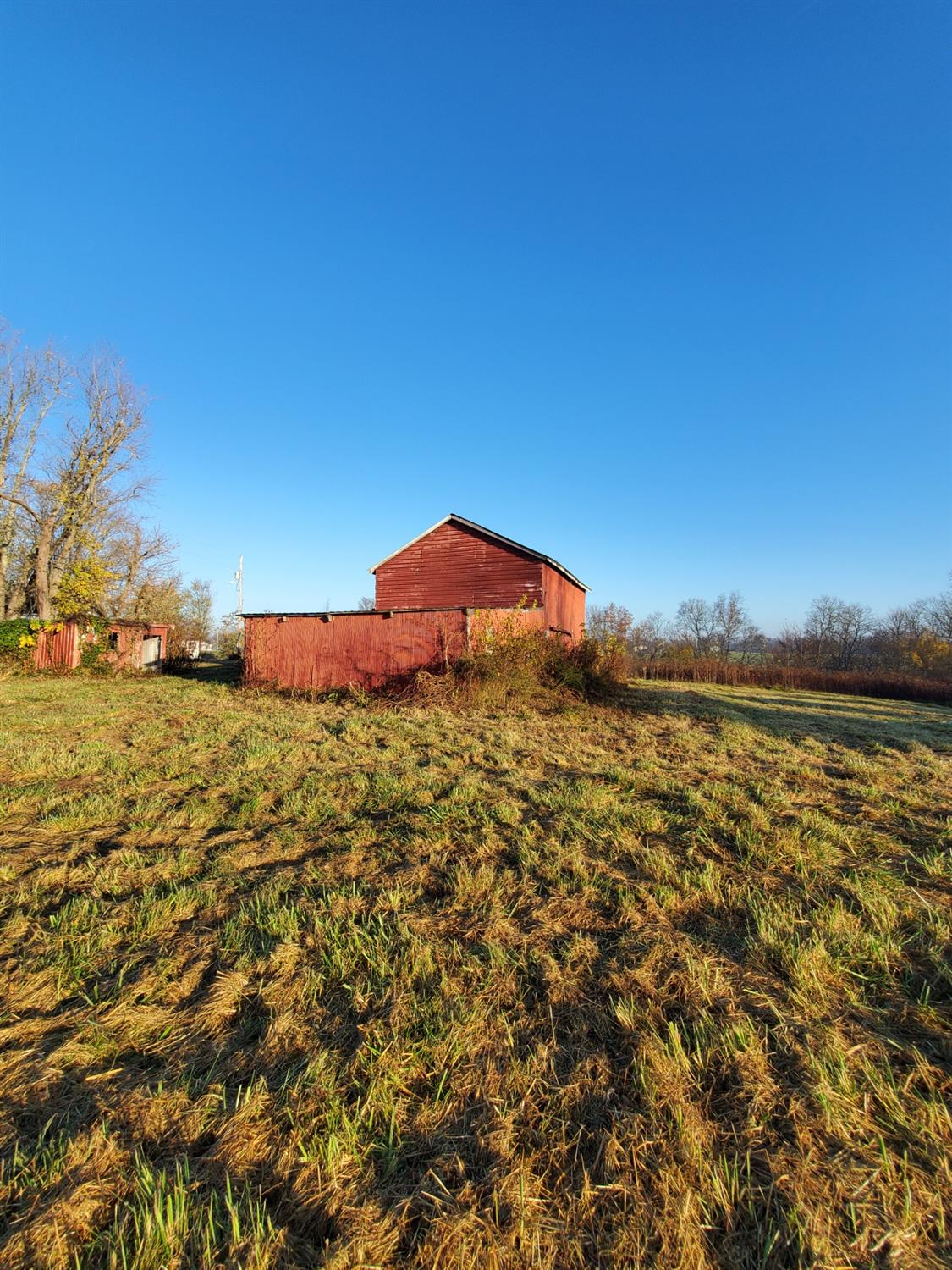 10940 McCrearys Ridge Road Florence, IN 47020 - Photo 13 of 50