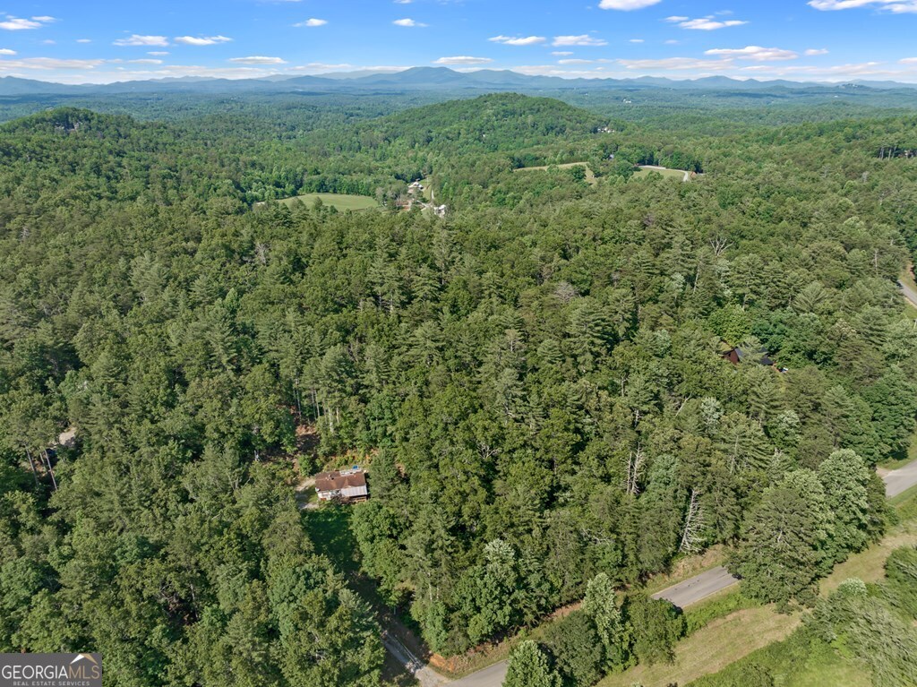 2-ac Ritchie Creek Road Blue Ridge, GA 30513 - Photo 9 of 12