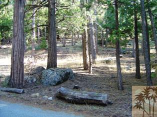 0 Idyllmont Road Idyllwild, CA 92549 - Photo 1 of 5 a backyard of a house with lots of green space
