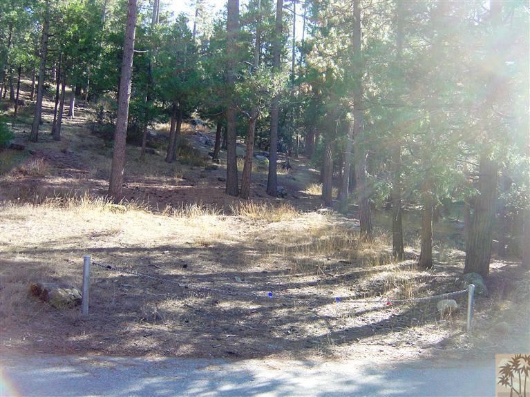 0 Idyllmont Road Idyllwild, CA 92549 - Photo 2 of 5 a view of a yard with trees