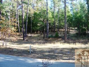 0 Idyllmont Road Idyllwild, CA 92549 - Photo 3 of 5 a view of a lake view