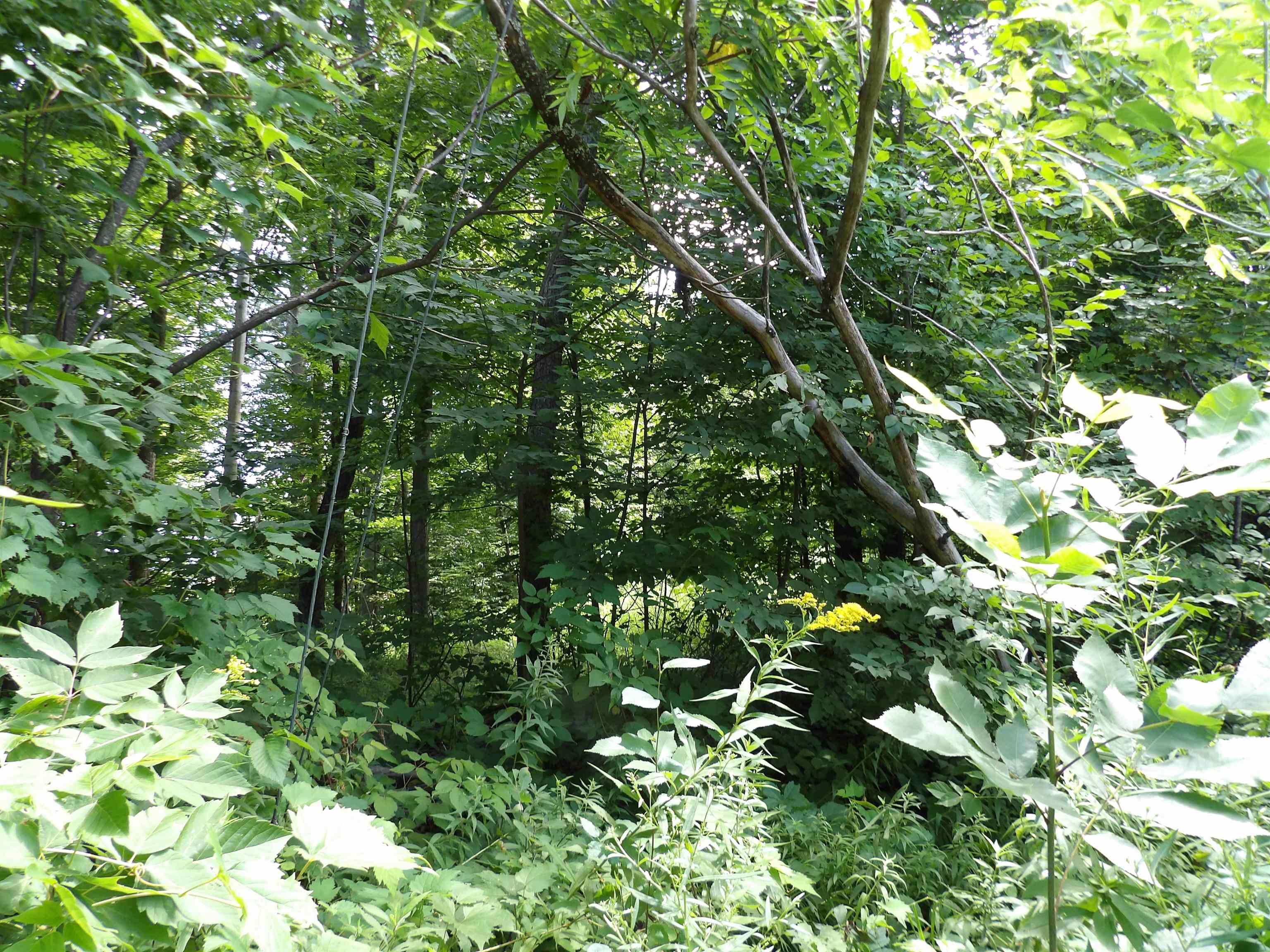 20 Center Street Proctor, VT 05765 - Photo 9 of 12 Gallery Image 9
