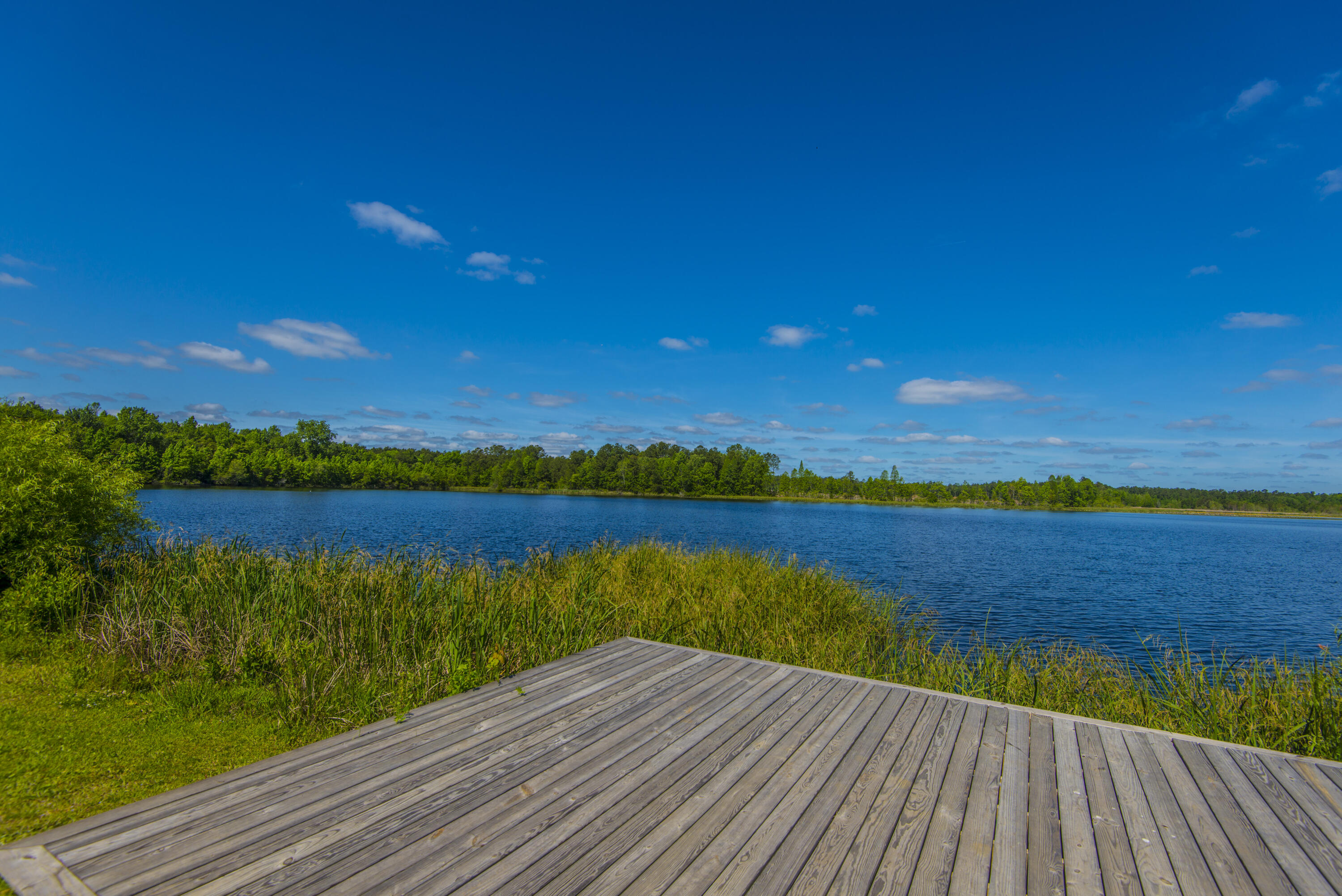 575 Pendleton Drive Moncks Corner, SC 29461 - Photo 51 of 58 _DSC8594