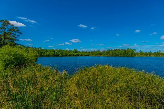 $500,000 | 575 Pendleton Drive, Moncks Corner, SC 29461