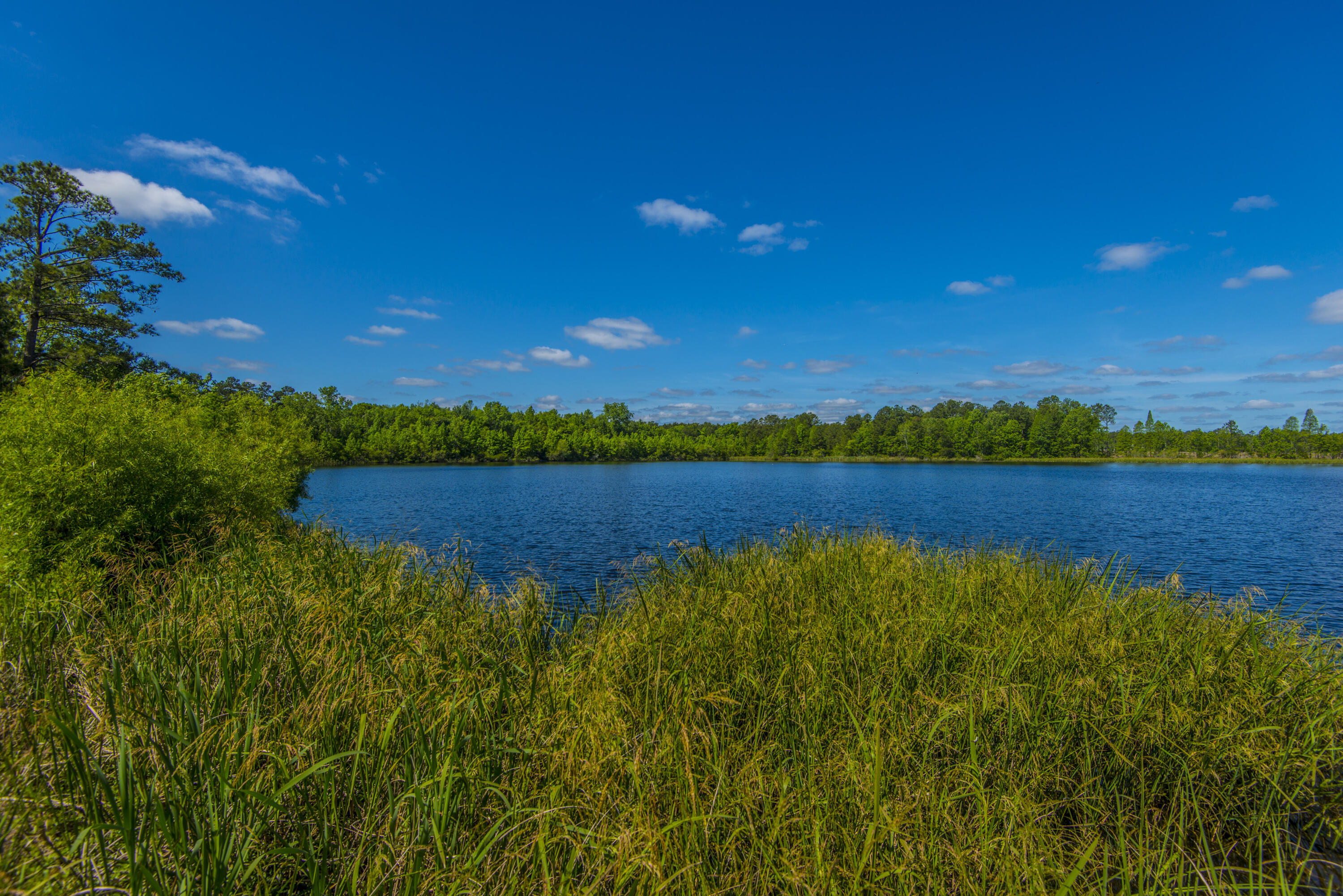 575 Pendleton Drive Moncks Corner, SC 29461 - Photo 52 of 58 _DSC8595