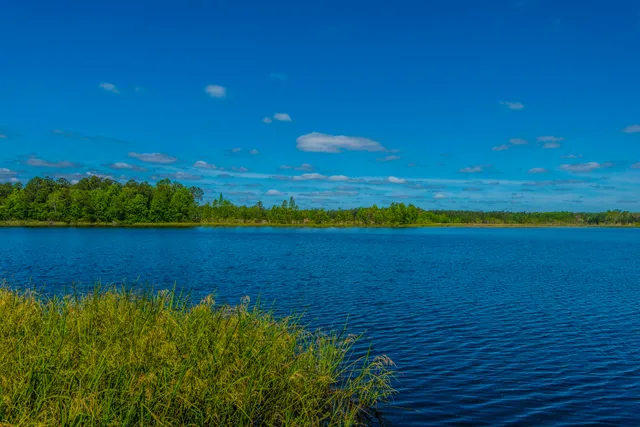 $500,000 | 575 Pendleton Drive, Moncks Corner, SC 29461