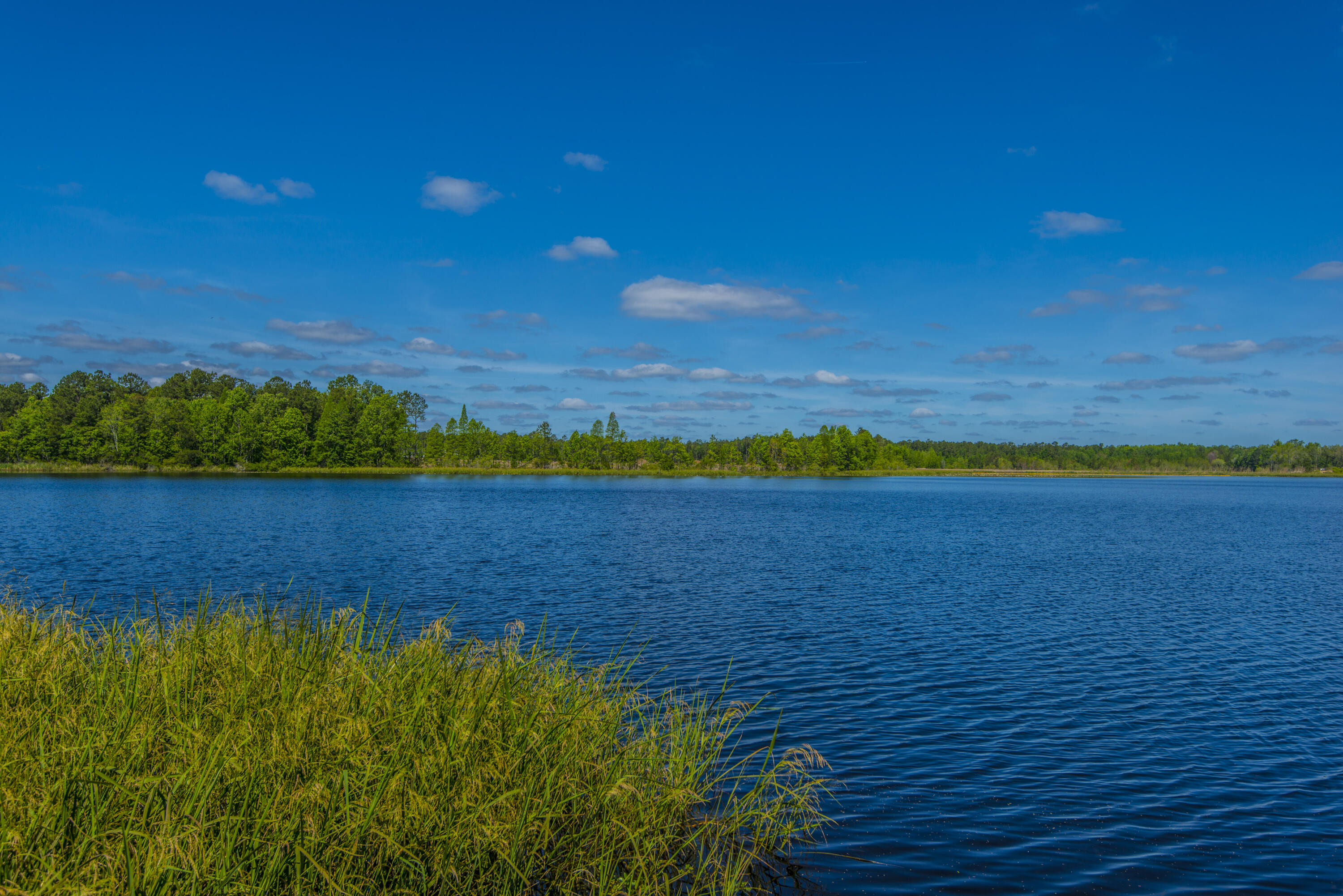 575 Pendleton Drive Moncks Corner, SC 29461 - Photo 54 of 58 _DSC8597