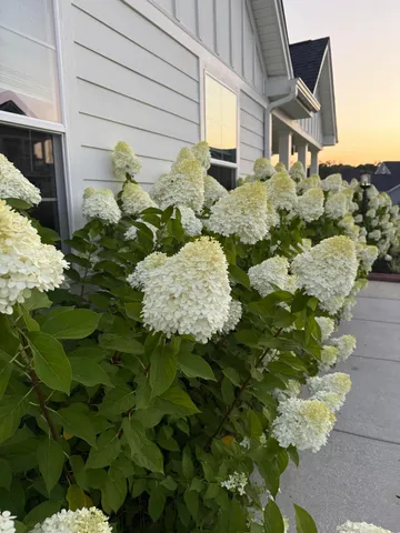 $500,000 | 575 Pendleton Drive, Moncks Corner, SC 29461