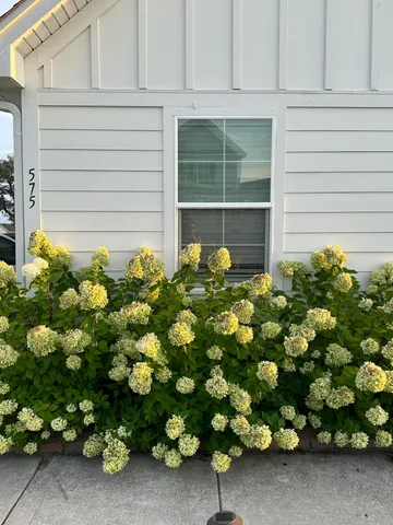 $500,000 | 575 Pendleton Drive, Moncks Corner, SC 29461