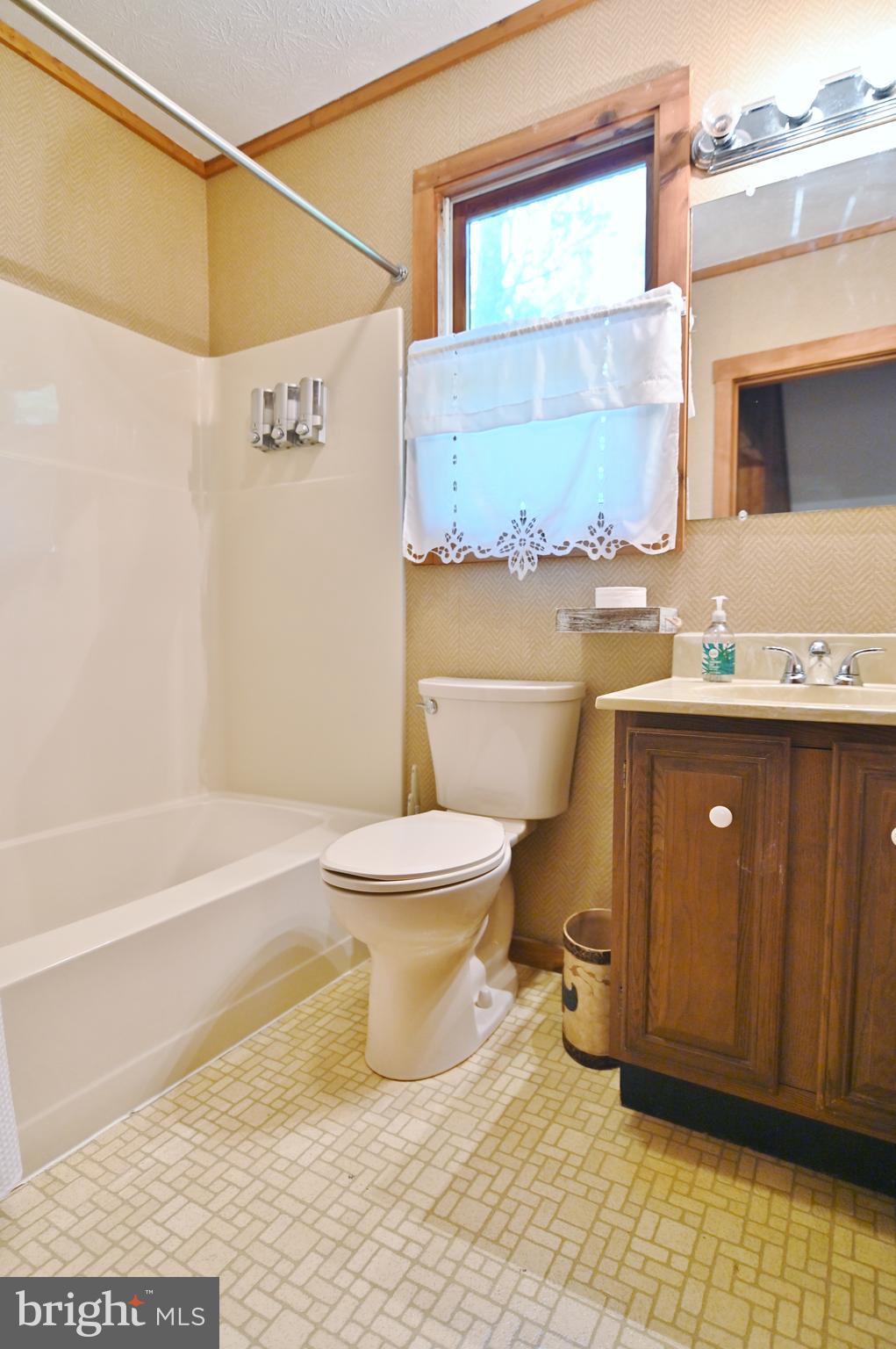 55 Morrie Drive Basye, VA 22810 - Photo 31 of 44 Upper level bath