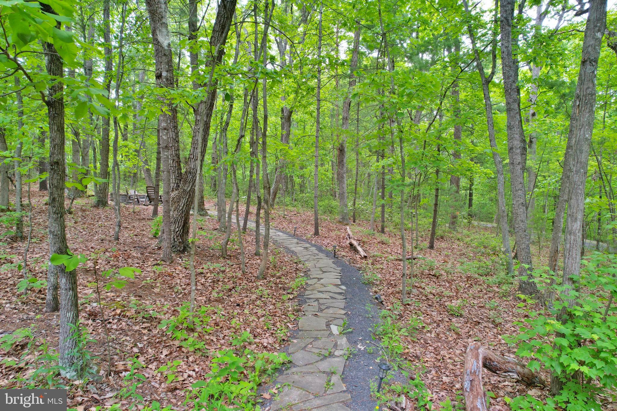 55 Morrie Drive Basye, VA 22810 - Photo 32 of 44 Path to firepit