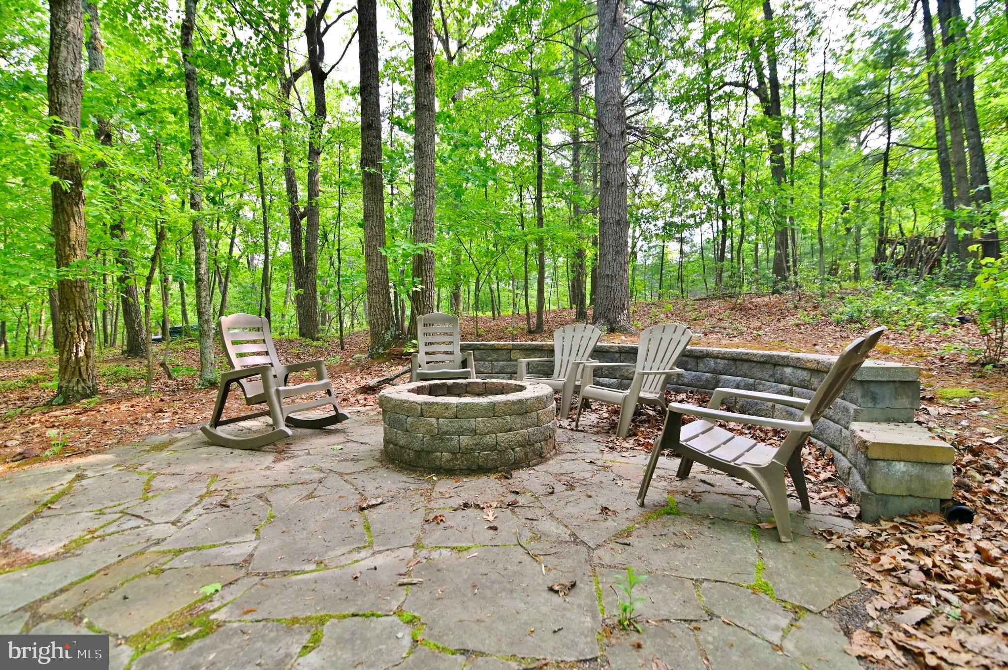 55 Morrie Drive Basye, VA 22810 - Photo 34 of 44 Firepit area