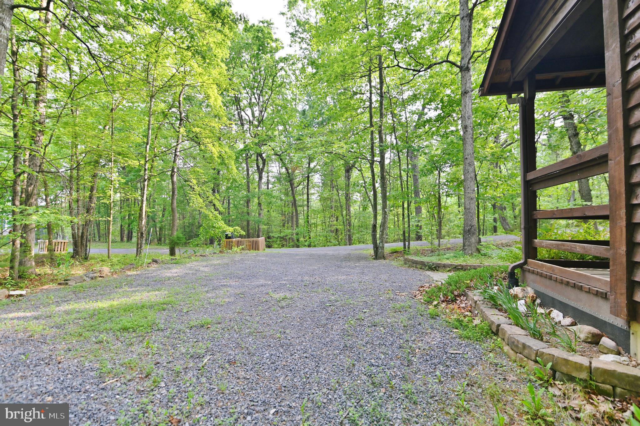 55 Morrie Drive Basye, VA 22810 - Photo 38 of 44 Driveway