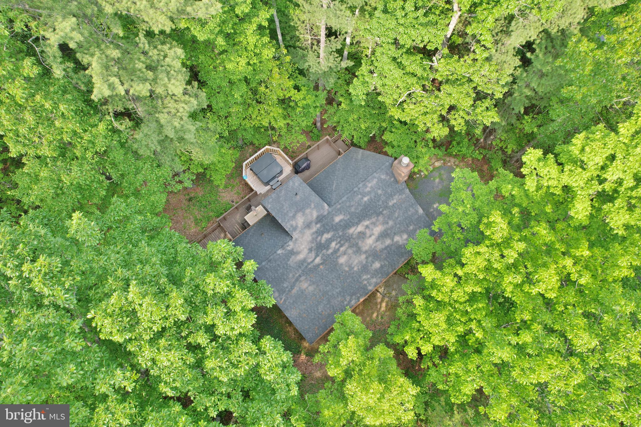 55 Morrie Drive Basye, VA 22810 - Photo 39 of 44 From above