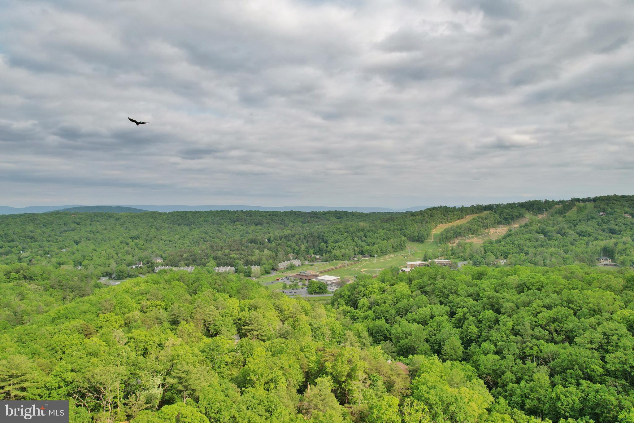 55 Morrie Drive Basye, VA 22810 - Photo 41 of 44