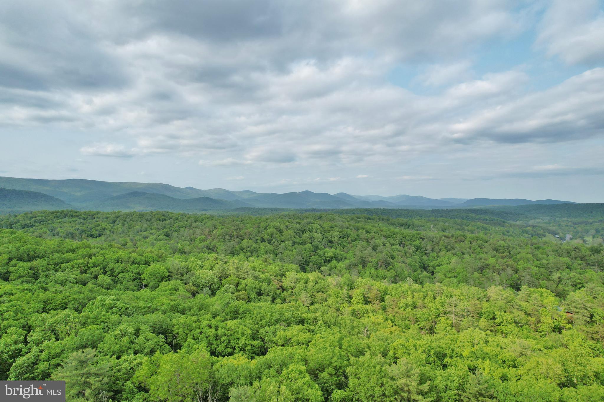 55 Morrie Drive Basye, VA 22810 - Photo 42 of 44