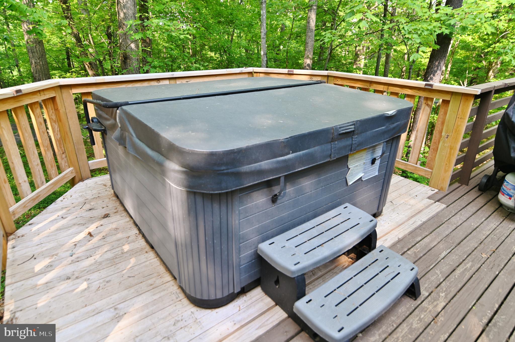 55 Morrie Drive Basye, VA 22810 - Photo 8 of 44 Newer hot tub