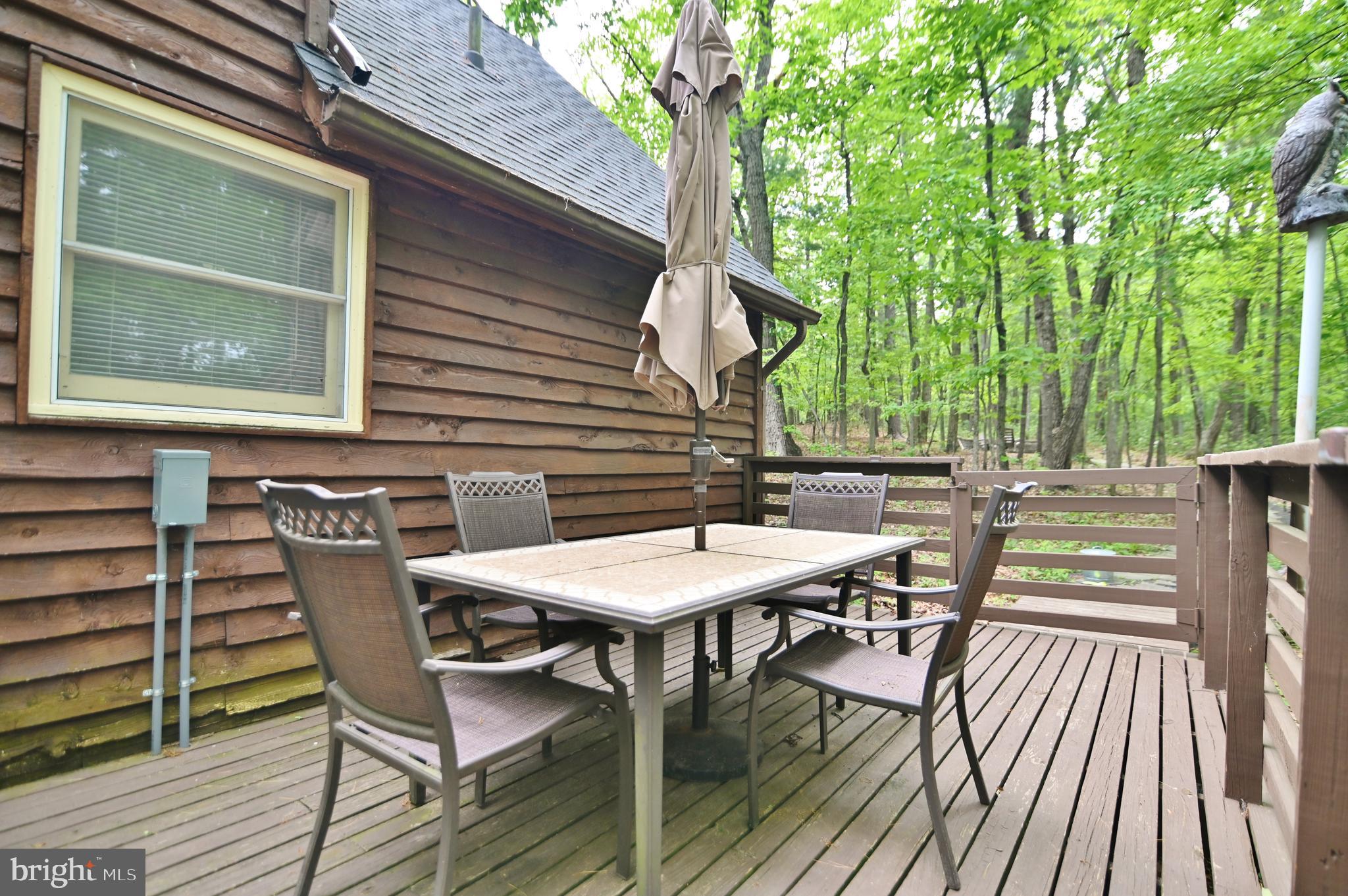 55 Morrie Drive Basye, VA 22810 - Photo 9 of 44 Outdoor dining