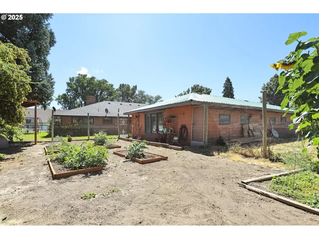 a view of a backyard