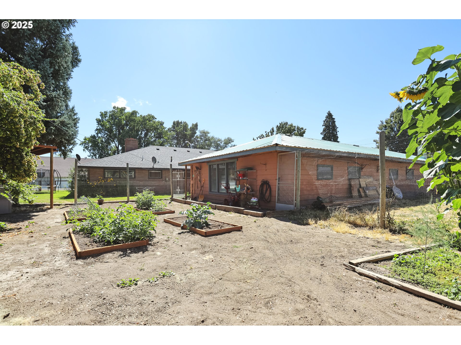 236 N Mill Grass Valley, OR 97029 - Photo 37 of 45 a backyard of a house