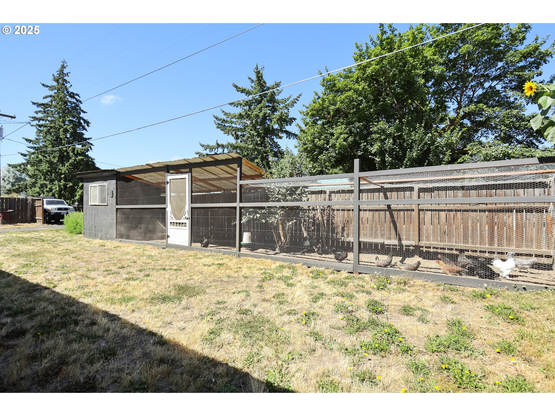 236 N Mill Grass Valley, OR 97029 - Photo 38 of 45 a view of a backyard