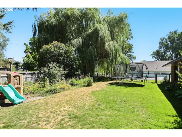 a view of a yard with large trees