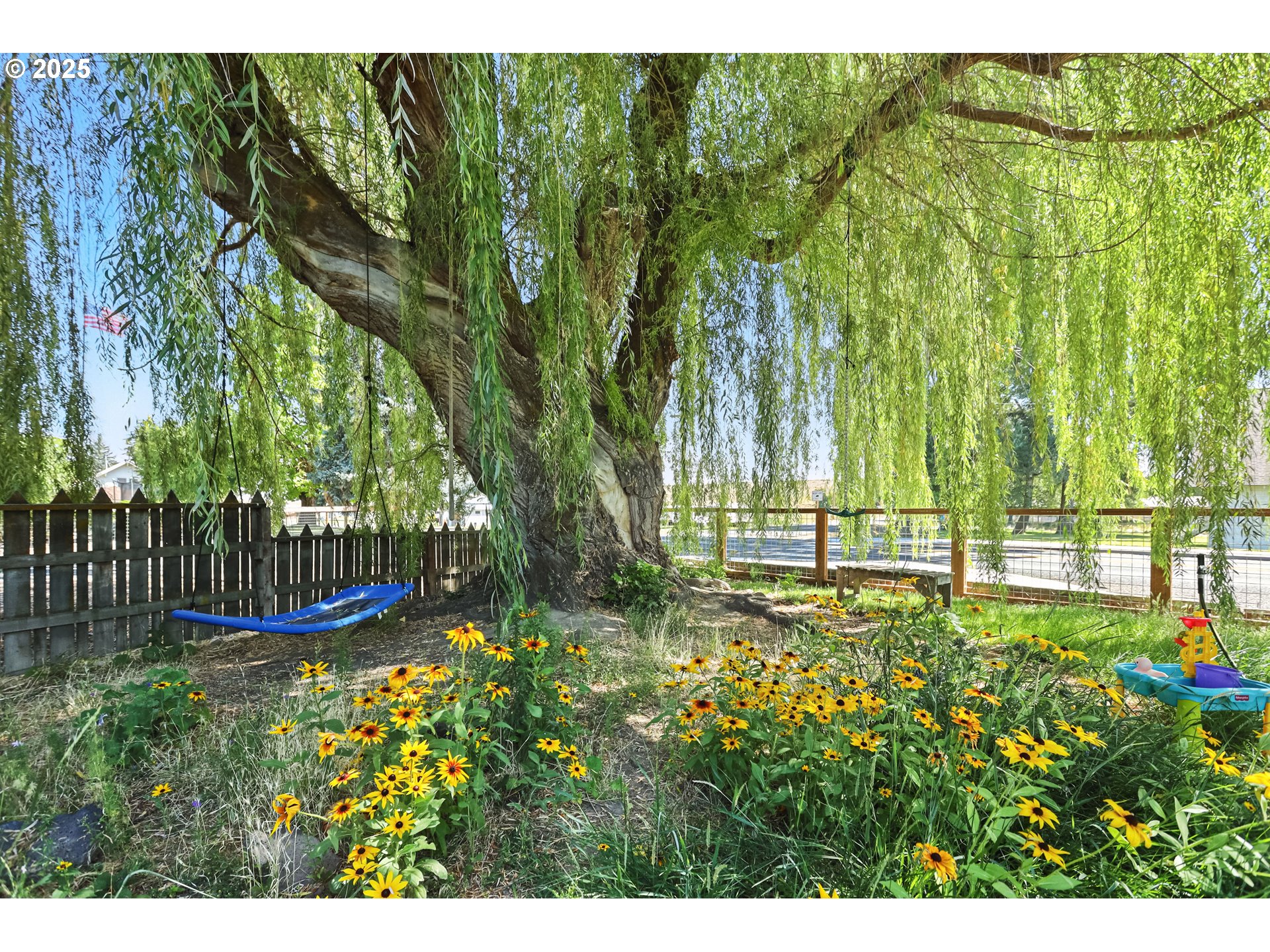 236 N Mill Grass Valley, OR 97029 - Photo 43 of 45 a view of a yard with large trees