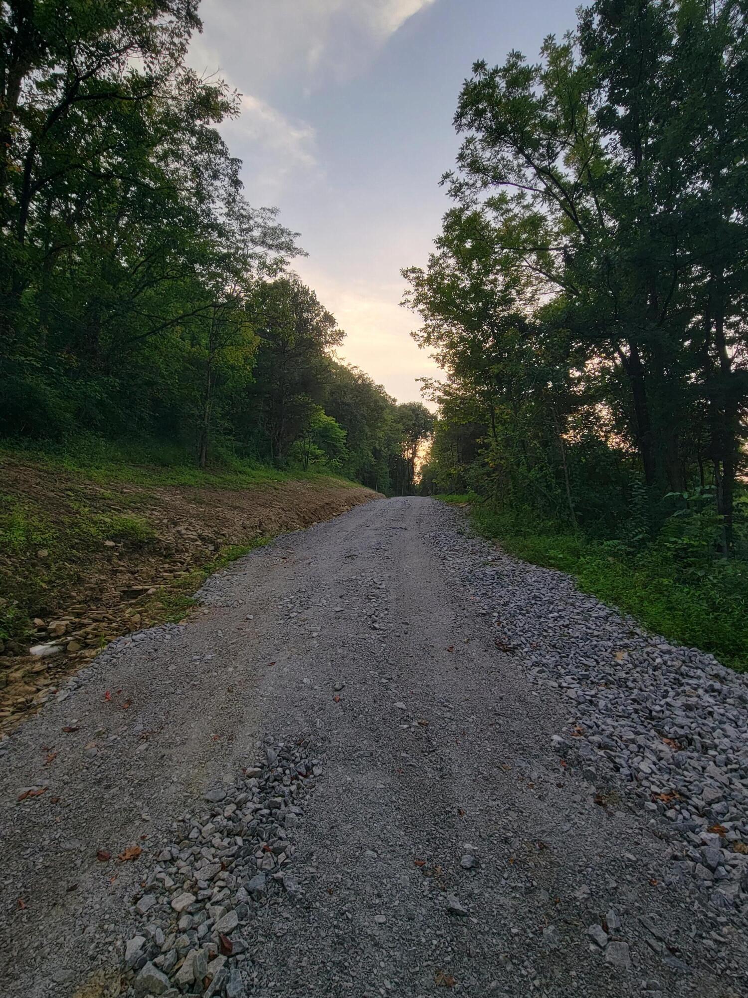 0 Elliston Mt Zion Road Dry Ridge, KY 41035 - Photo 6 of 7