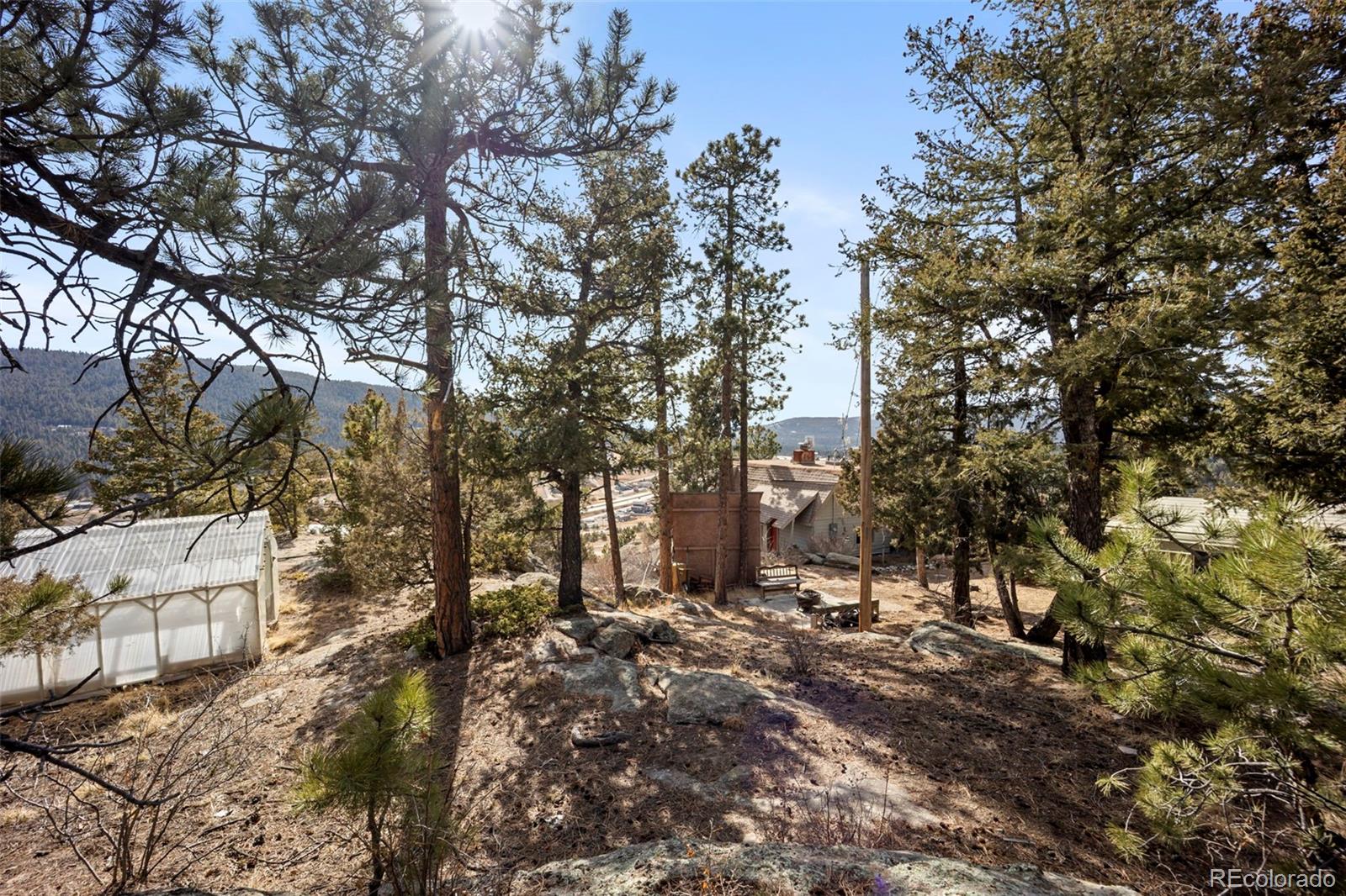 25874 Mosier Street Conifer, CO 80433 - Photo 23 of 45 a view of outdoor space with trees