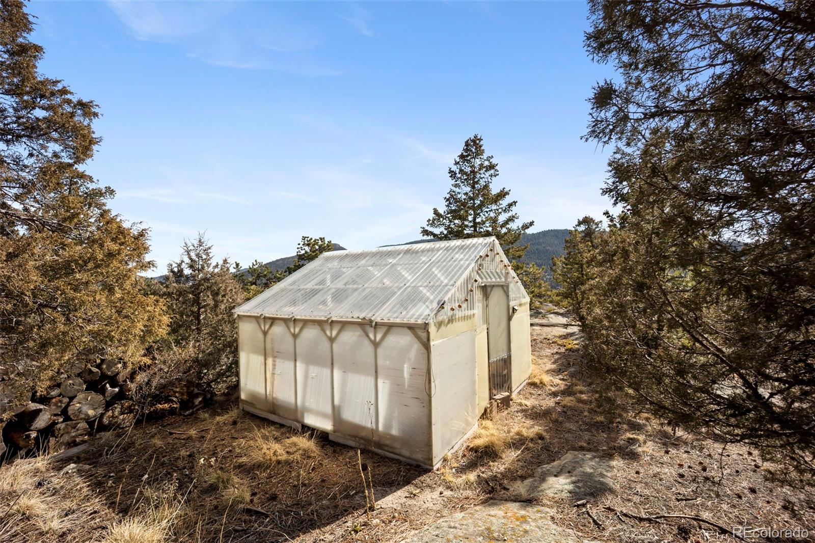 25874 Mosier Street Conifer, CO 80433 - Photo 24 of 45 a view of a small house with backyard and trees