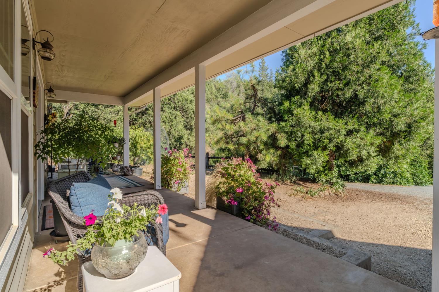 16671 Fiddletown Road Fiddletown, CA 95629 - Photo 5 of 71