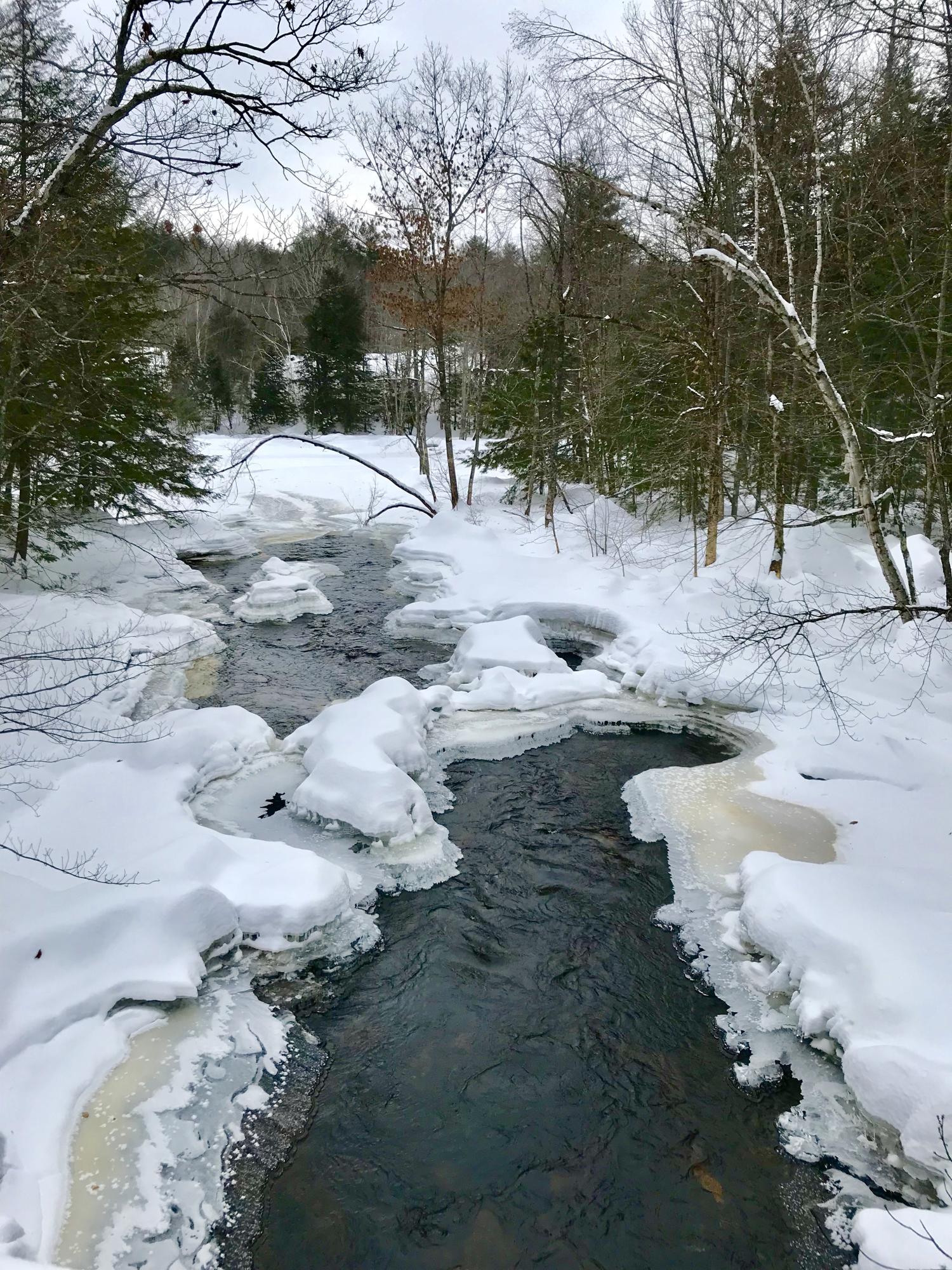 367 Railroad Bed Road Buckfield, ME 04220 - Photo 9 of 11 4867798E-F0AA-4841-9870-BD5B37762597