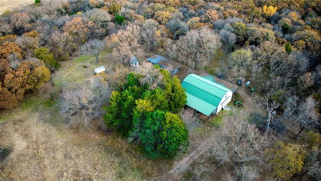 a view of a yard with trees