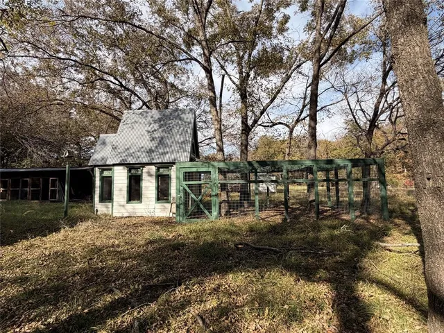 a view of a forest with lots of trees