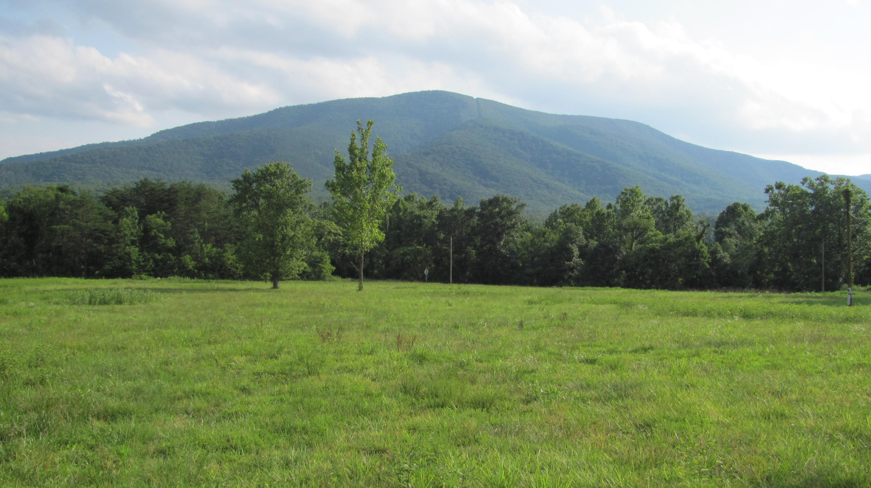 3295 Absalom Smith Road Salem, VA 24153 - Photo 1 of 3 Open/level pasture land