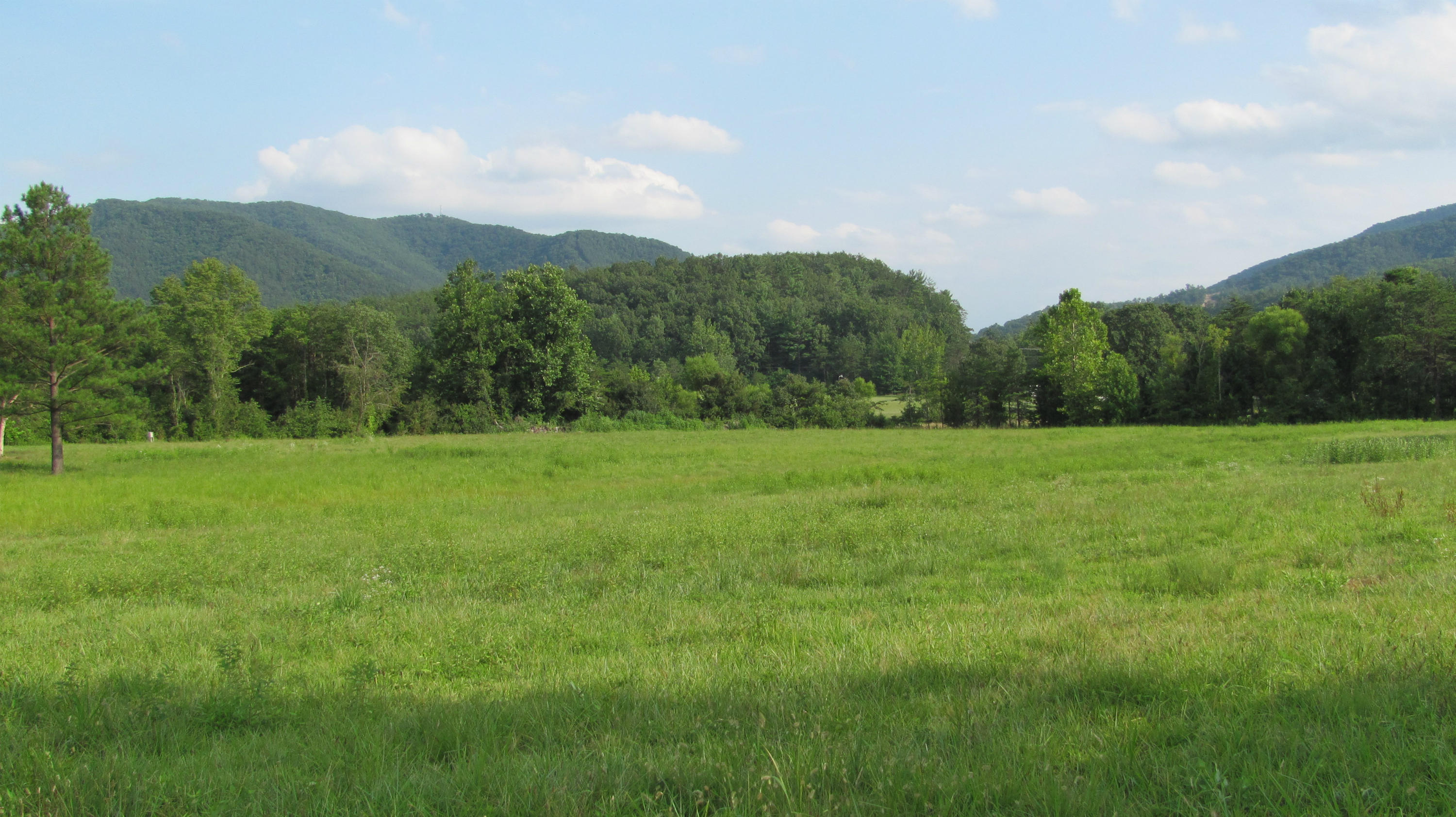 3295 Absalom Smith Road Salem, VA 24153 - Photo 3 of 3 Views to South