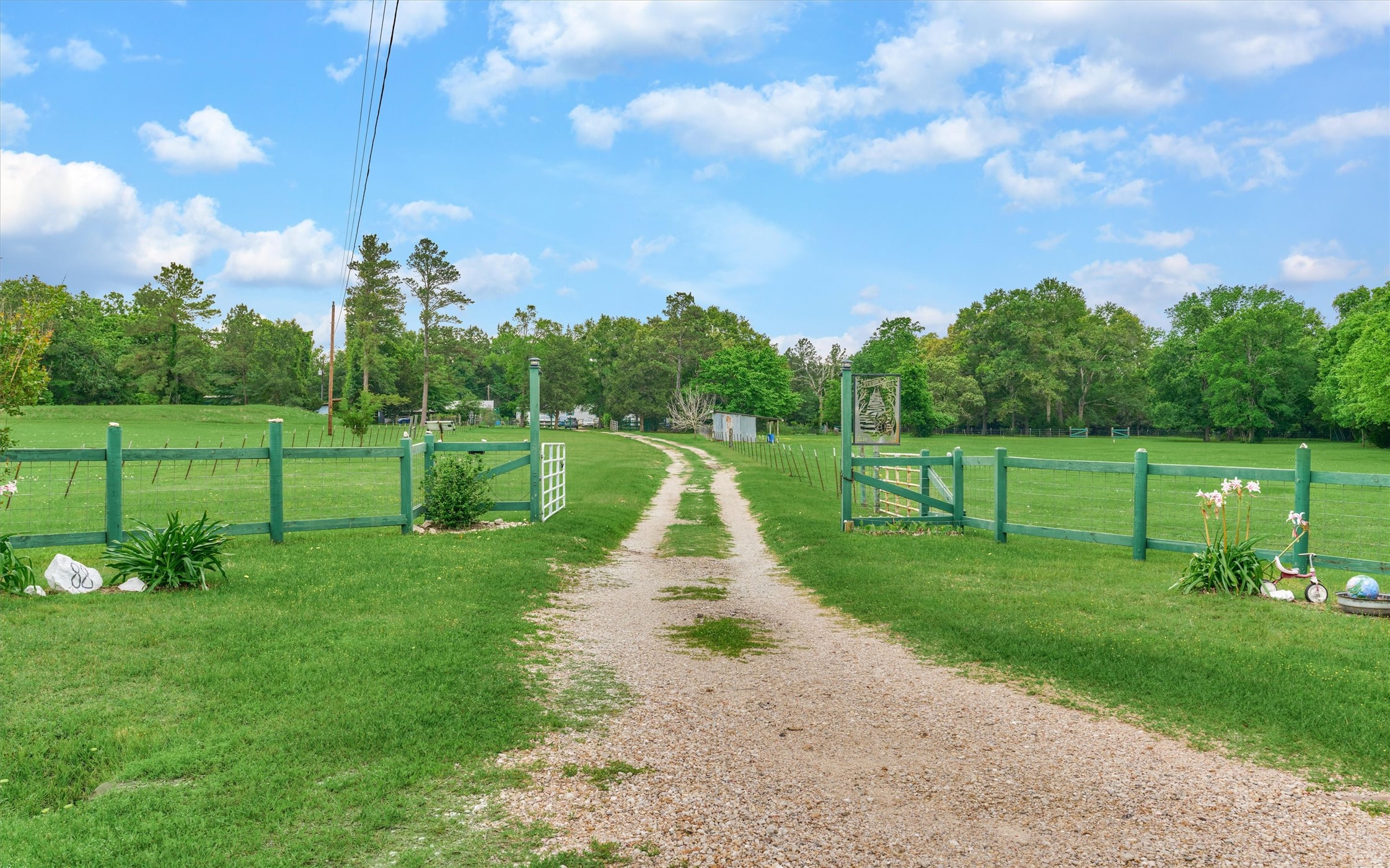 88 Piney Point Road Huntsville, TX 77340 - Photo 46 of 46