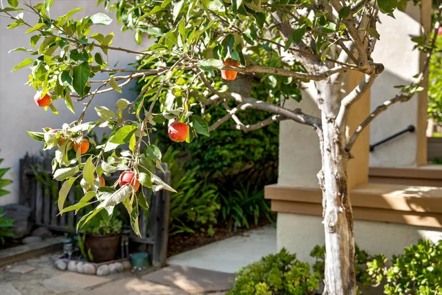 a view of a backyard of the house