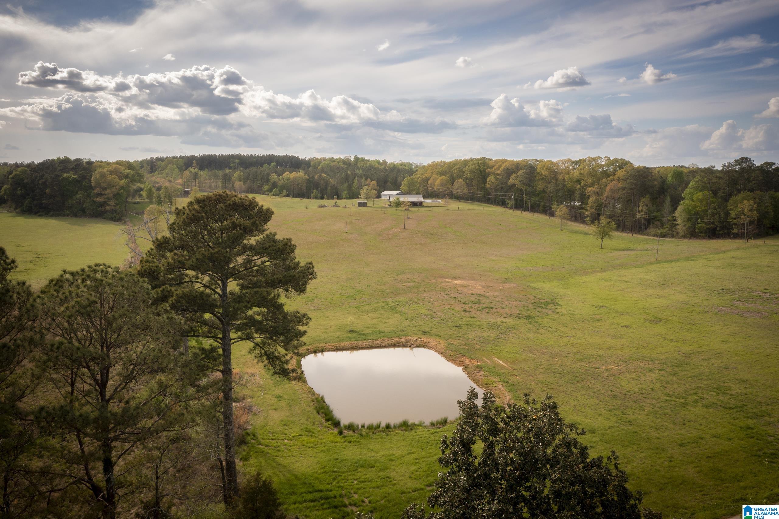 1325 Ledbetter Road Munford, AL 36268 - Photo 54 of 85