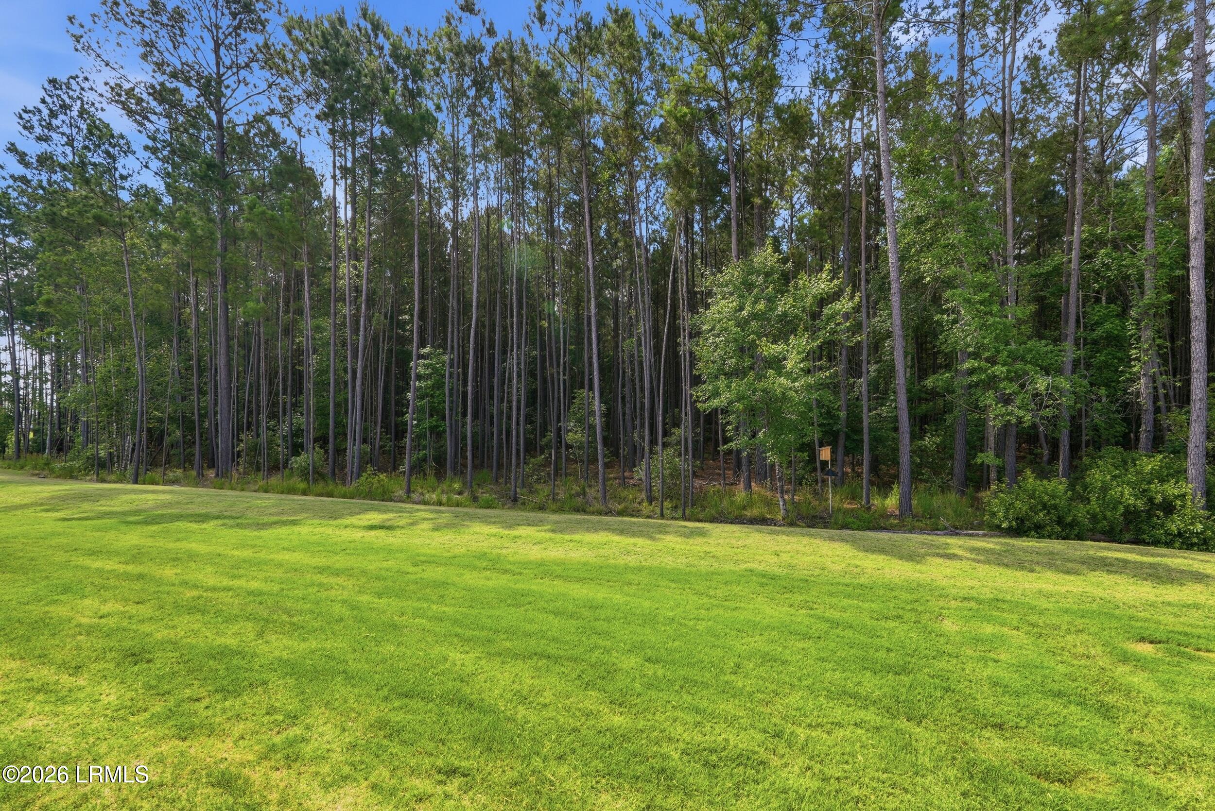731 Sun Fish Way Hardeeville, SC 29927 - Photo 38 of 45 39_dsc05020