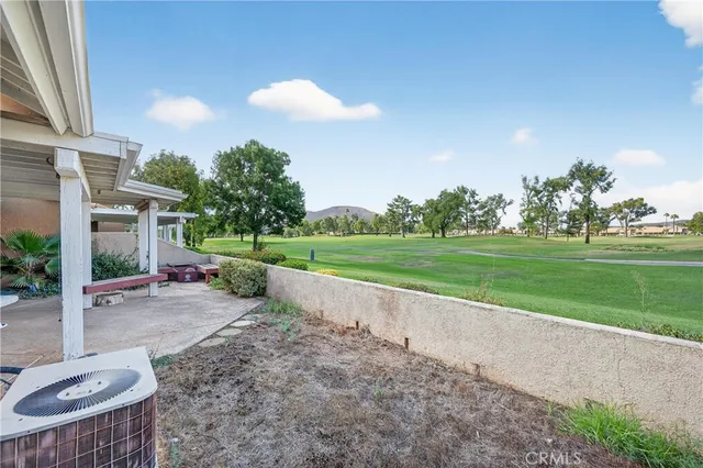 a view of a garden with plants and large trees