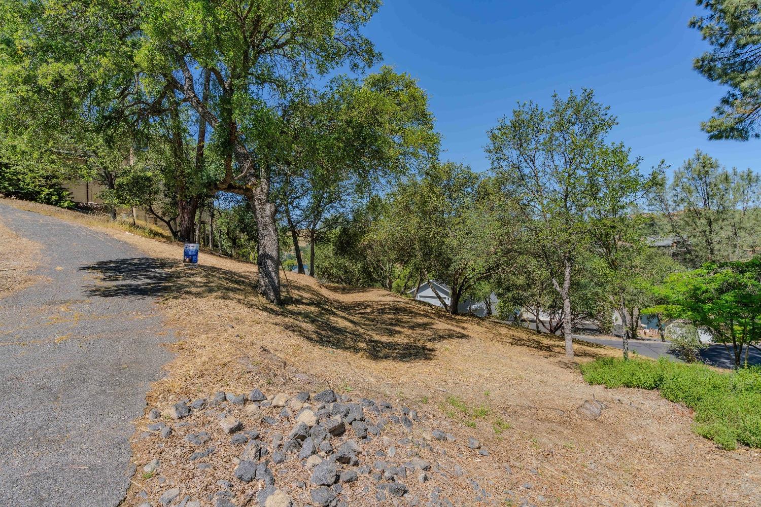 215 Oakhurst Court Copperopolis, CA 95228 - Photo 5 of 16 a view of a street with a tree