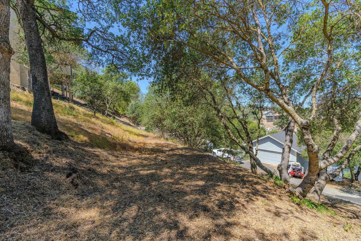 215 Oakhurst Court Copperopolis, CA 95228 - Photo 6 of 16 a view of a yard with large trees