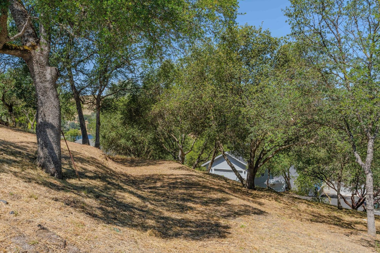 215 Oakhurst Court Copperopolis, CA 95228 - Photo 7 of 16 a view of a backyard with large trees