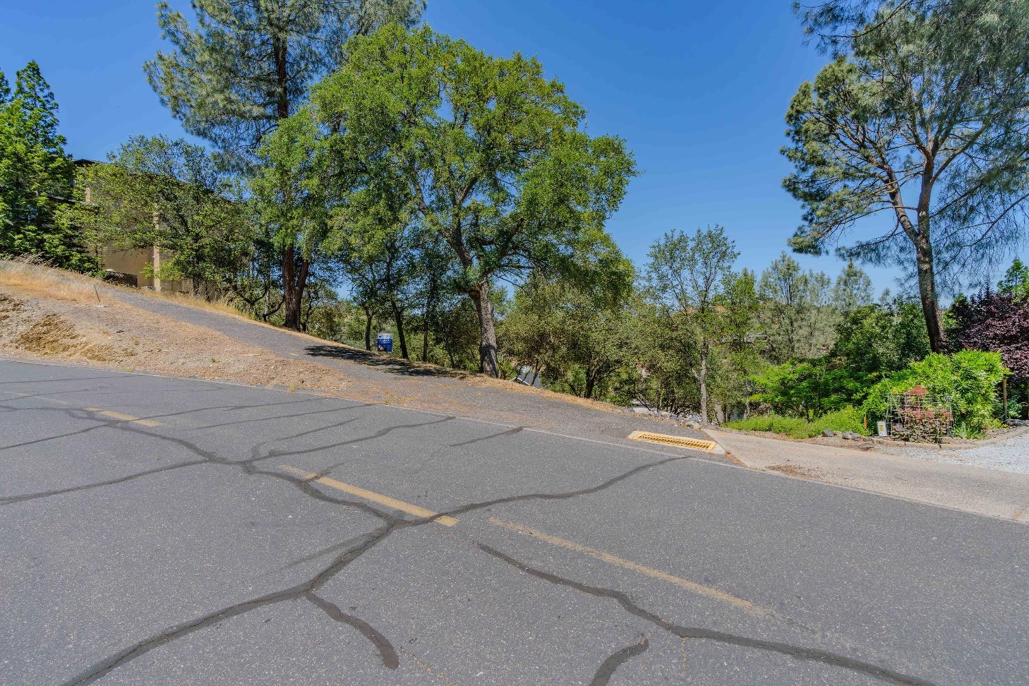 215 Oakhurst Court Copperopolis, CA 95228 - Photo 8 of 16 a view of a street with a house
